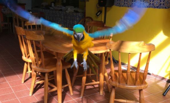 Panama House Bed & Breakfast