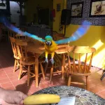 Panama House Bed & Breakfast Hotels in Bethania