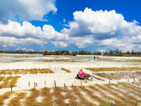 The Island Pongwe - Adult Only Hotels in Pongwe