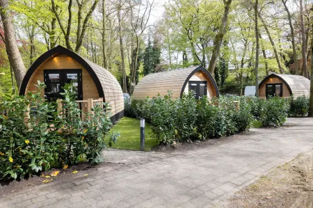 Hotel de Hoeve Van Nunspeet Отели в г. Hulshorst