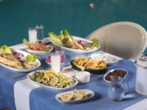 Temple Miletos Spa Hotel Hotels in Didim