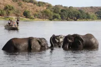 데스티니 블로 인