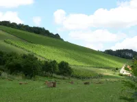 Hotel Mainblick Garni Hotels in Marktheidenfeld