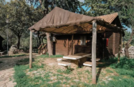 Camping TajoRodillo