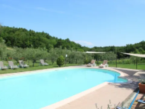 Apartment Between Pisa and Livorno Hotels in Collesalvetti