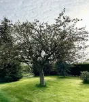 오처드 하이드어웨이 요크