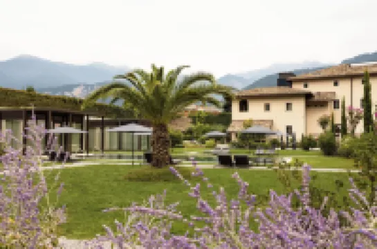 모나스테로 아르크스 비벤디