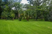 Palmwood Lodge