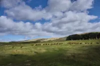 Mauldslie Hill Cottage - Homestays