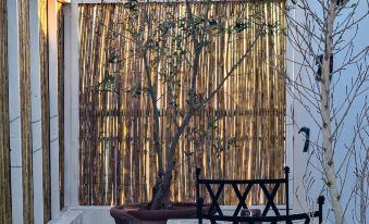 Dar Colibri - Guest house in Kelibia