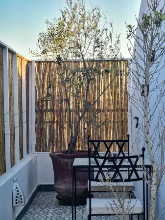 Dar Colibri - Guest house in Kelibia