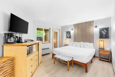 Dasha's Snowboard Track - Icicle Village