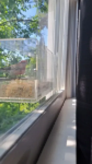 3BDR, 3 Full-Bath house in City, 2 living rooms [3,000 sq. ft.] - Pet Friendly!