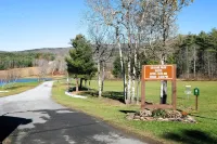 Spacious Catskill Mountains ski cabin with fire pit