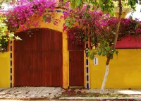 Standard 2 bdrm Suite #1