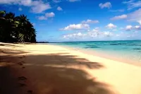 Muri Beachside Villa - Super Popular  Location at Muri Beach, Pool, Kayaks!