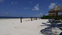 Affordable Beachfront  Paradise!     2 Bedrooms