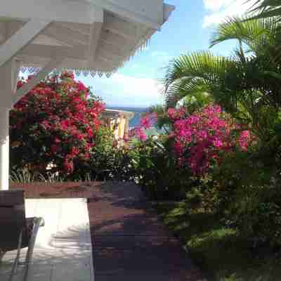 Apartment/ flat - SAINT FRANCOIS Hotel Exterior