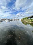 Coastal Getaway near Pensacola beach, Downtown & NAS + walk to bayou & marinas