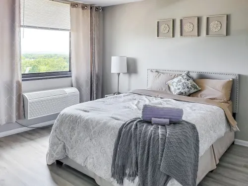 Stylish 2 BR walkout Apartment in DT