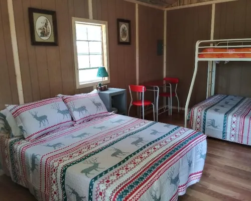 Pet friendly Camping cabin  close to Buffalo River Hotels in Searcy County