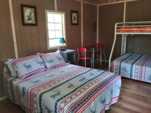 Pet friendly Camping cabin  close to Buffalo River