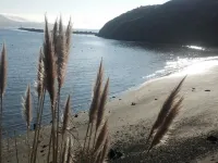 COZY—Dog-Friendly—Perfect for Couples!!! Free 3rd Night! Hotels in Bodega Bay