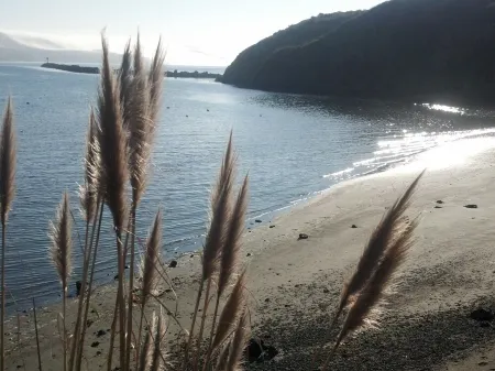 COZY—Dog-Friendly—Perfect for Couples!!! 2025 DISCOUNT for 5-10 days—ASK!!!