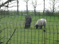 comfortable cottage in the countryside 15 minutes from the sea with WIFI Hotels in Pluduno