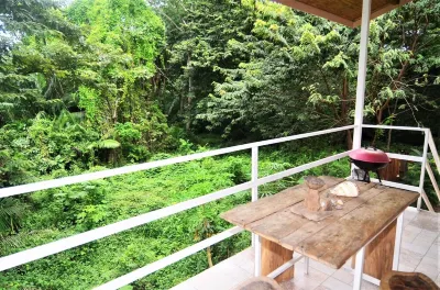Iguana house very close to the center with a beautiful view in the jungle