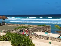 Palms Trees & Oceanfront Condo: FAB Reviews -So Cozy  2BD-2Bath,Deck,Pool & WiFi