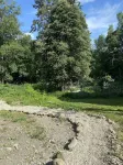 Brand new walk out basement. Peaceful, and surrounded by beautiful forest.