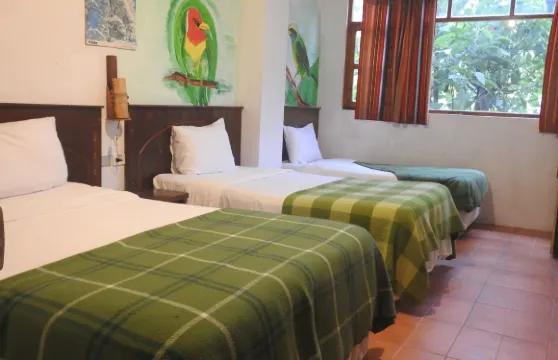 敏多雲霧森林生態旅館