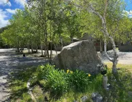 Georges Mountain Village - acceptant les animaux