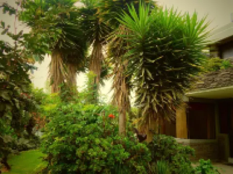 Hotel Rubus Hoteles en Puembo