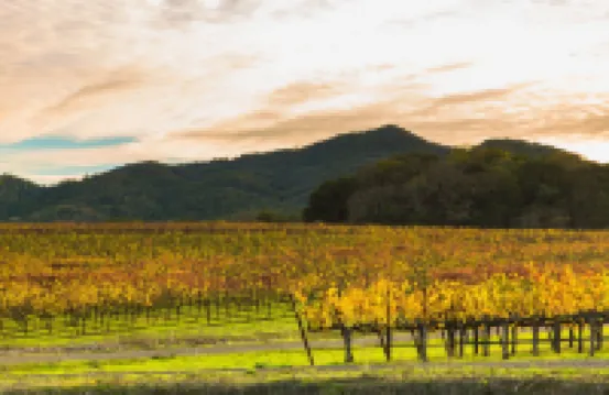 인 세인트 헬레나