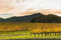 Inn St Helena Hotels in St. Helena