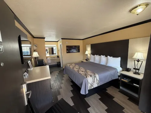 Regency 7 Motel