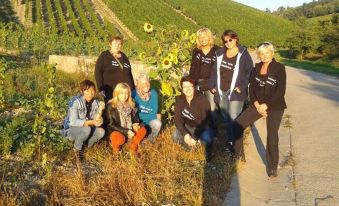 Wein-Träume