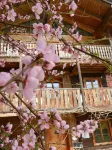 Wampendobler Paradies Hotels in Arnstorf
