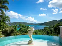 Villa Delfina- Private Beach! Spacious 5 Bedroom Villa in Lower Peter Bay! Hotels in Central