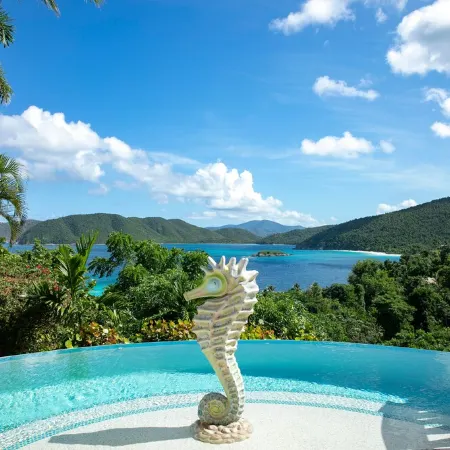 Villa Delfina- Private Beach! Spacious 5 Bedroom Villa in Lower Peter Bay! Отели в г. Сентрал