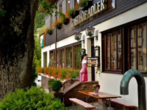 Gasthof Adler Hotels in Schramberg