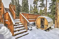 Bristle Cone Fairplay Cabin with Hot Tub