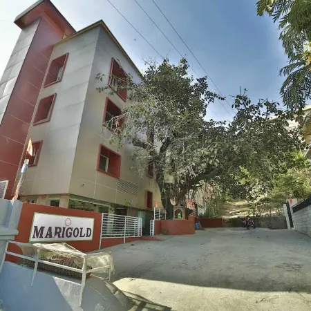 Hotel Marigold with Swimming Pool by SAH