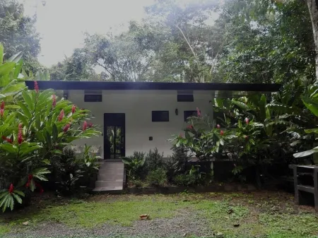Quiet, private, Jungle House - 4x4 Required