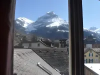 Hotel Engelberg "mein Trail Hotel" - Mountain View