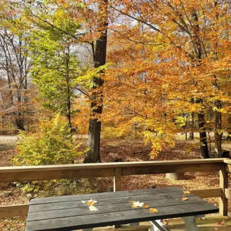 PearTree Chalet, Lake, Hot Tub, Gas & Wood FirePits