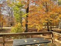 PearTree Chalet, Lake, Hot Tub, Gas & Wood FirePits