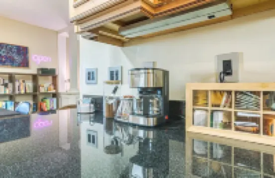 The OMG House that will BLOW YOUR MIND with Unbelievable Cats n Mirrors